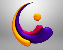 Special Color Logo