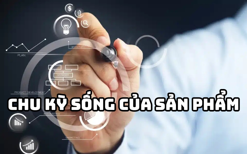 chu kỳ sống của sản phẩm