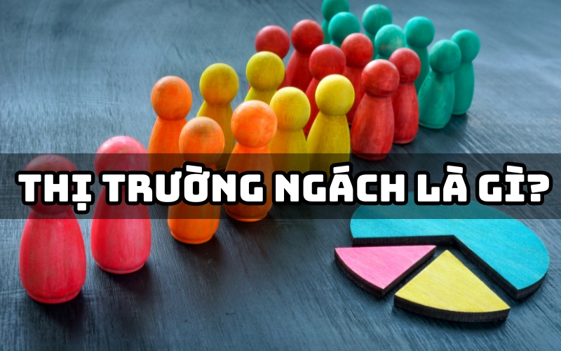 thị trường ngách là gì