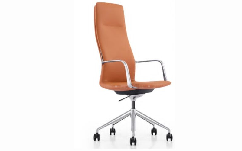 ghế giám đốc trẻ