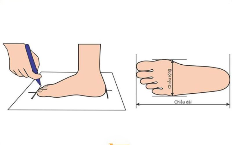 cách đo size giày tại nhà